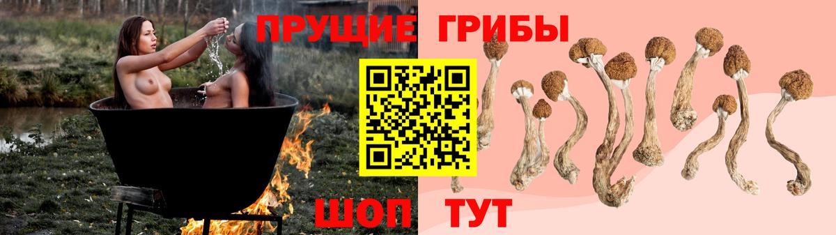 Киселёвск  Псилоцибиновые грибы Psilocybine cubensis  Галлюциногенные грибы Psilocybe  Вход с VPN 